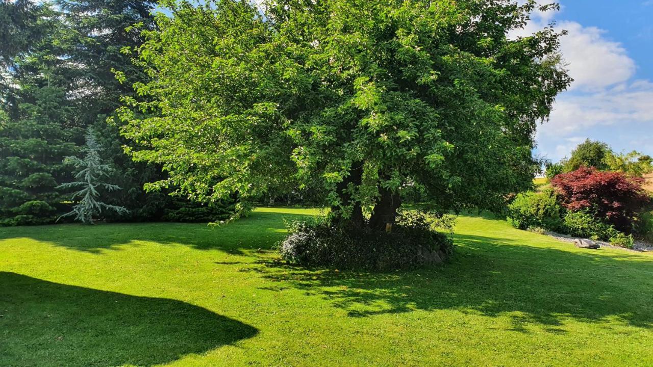 Landsted Liebhaveri I Særklasse Årup