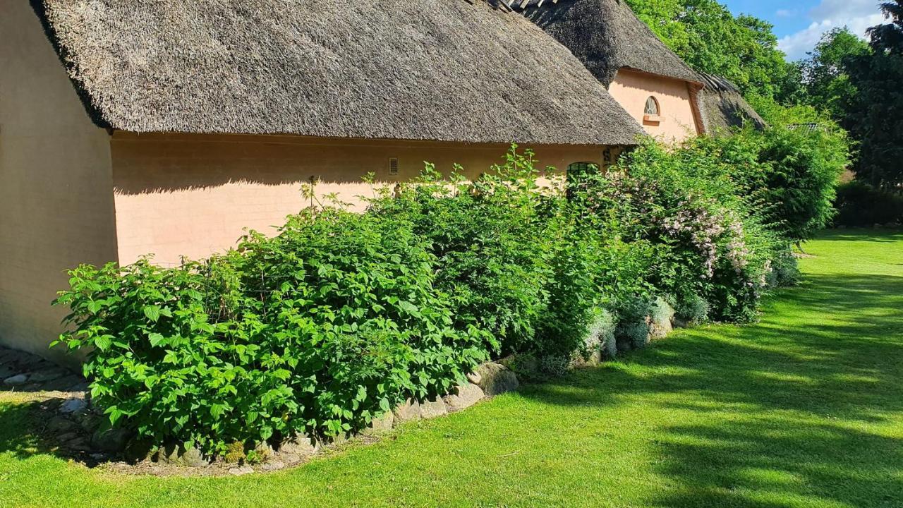 Liebhaveri I Saerklasse